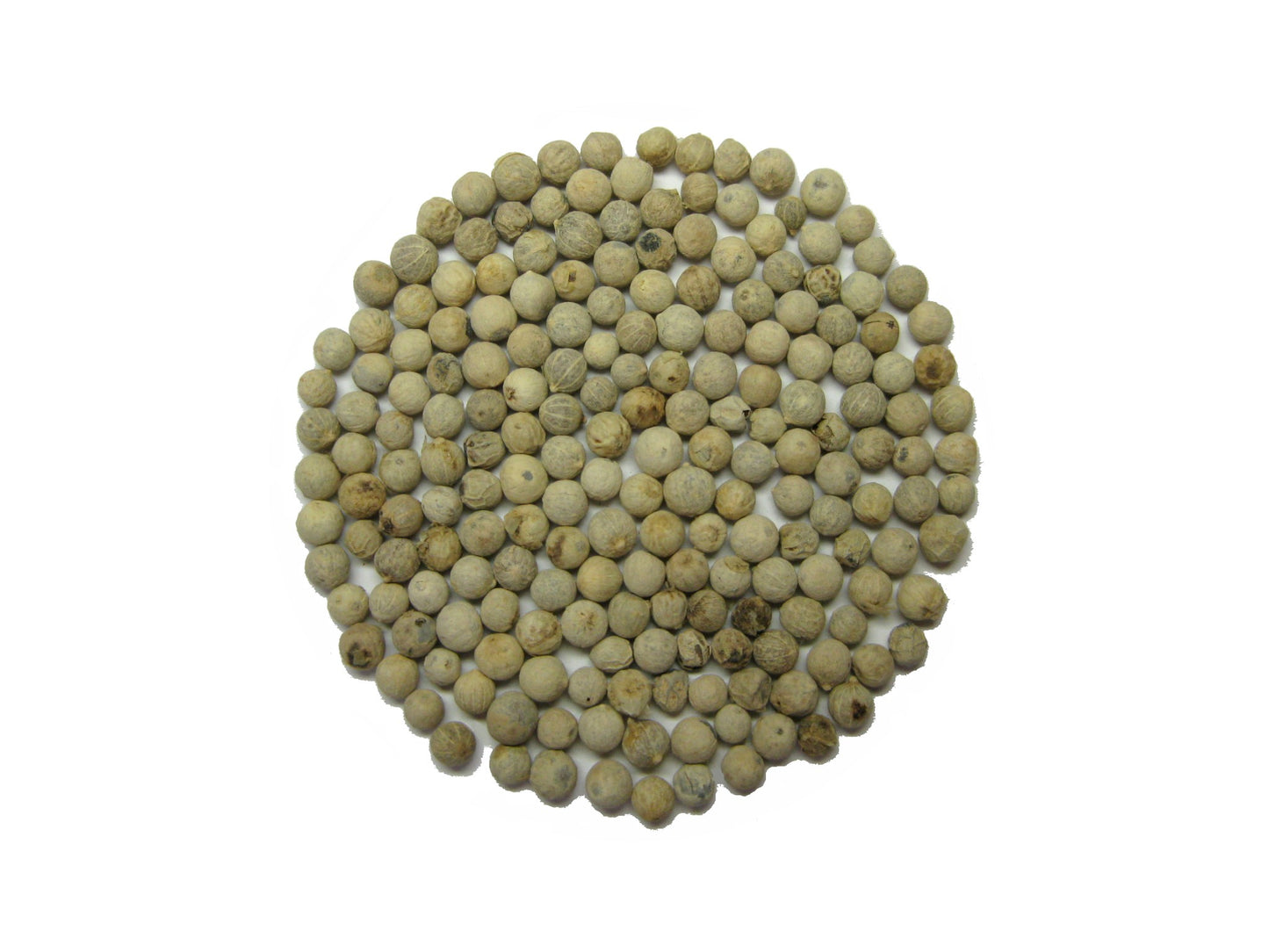 Pieprz biały. 100 gr